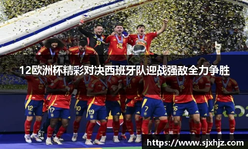 mk体育官网入口