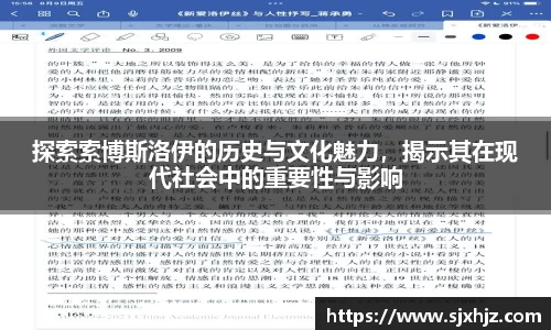 探索索博斯洛伊的历史与文化魅力，揭示其在现代社会中的重要性与影响
